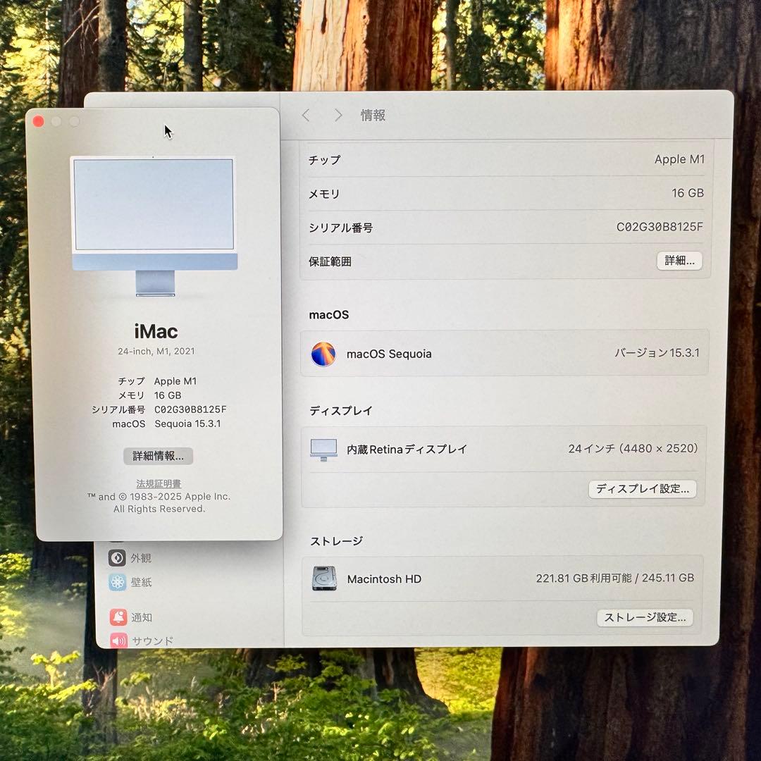 【alvさま】Apple / iMac M1 24inch ブルー