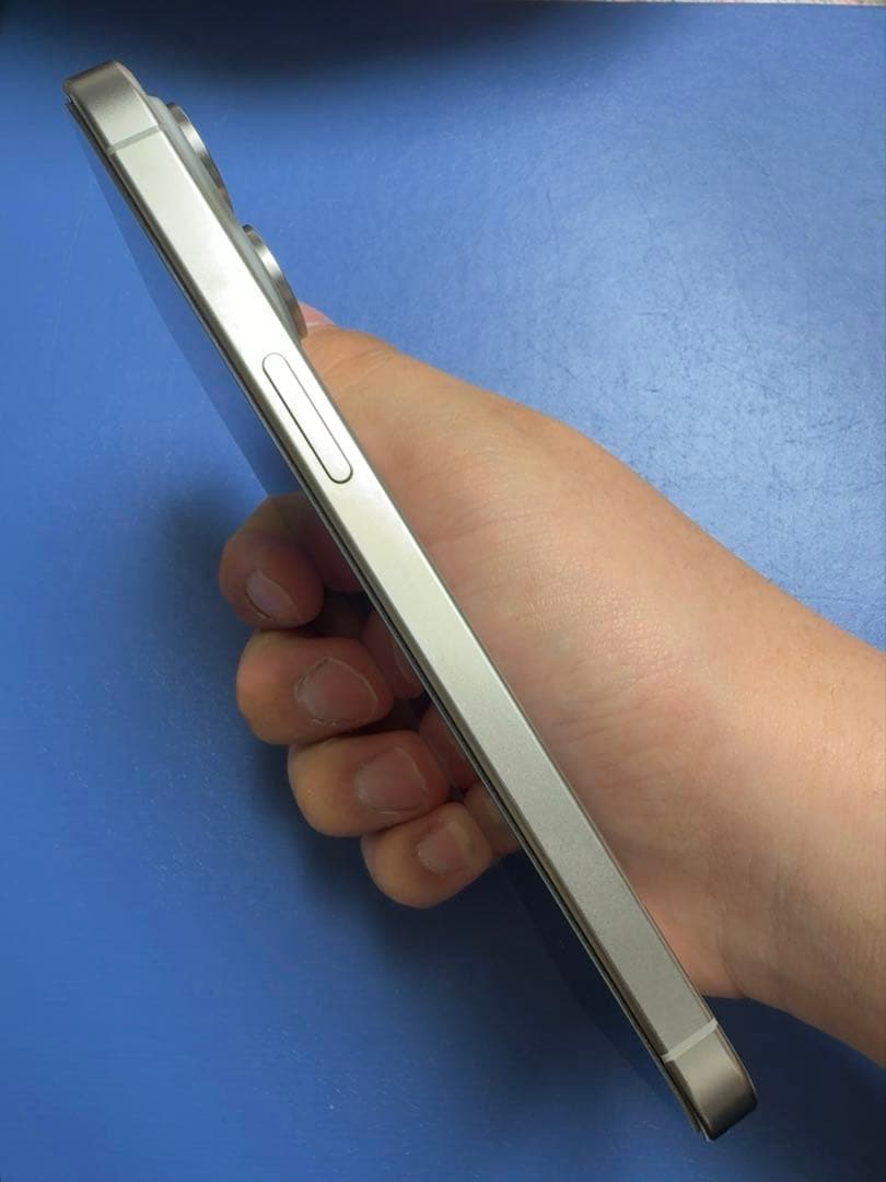 iPhone 15 Pro Max 256gb 値下げ可　海外版