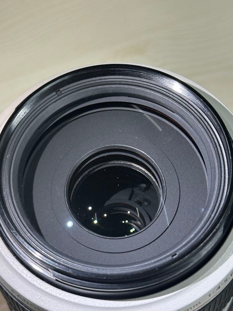 Canon EF70-300mm F4-5.6L IS USM 動作良好