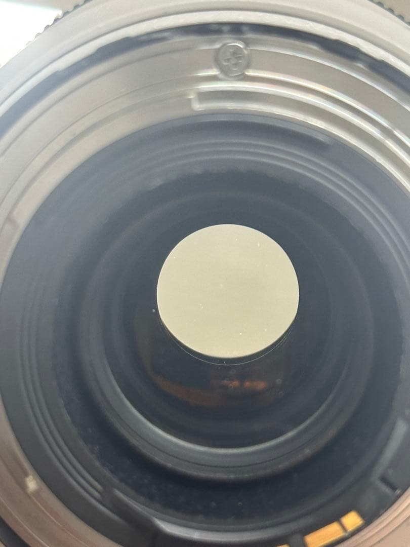 Canon EF70-300mm F4-5.6L IS USM 動作良好