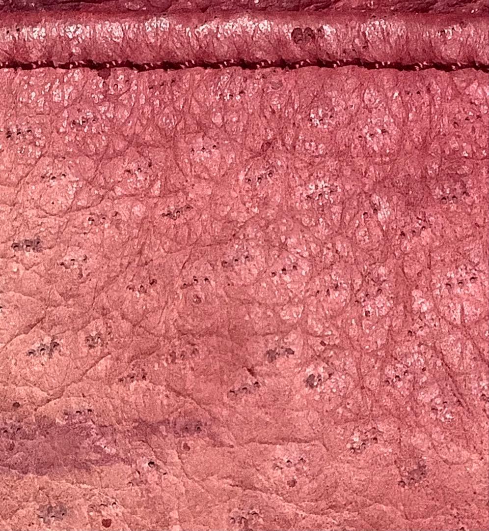 Ibiza イビザ　ペッカリー　ハンドバッグ