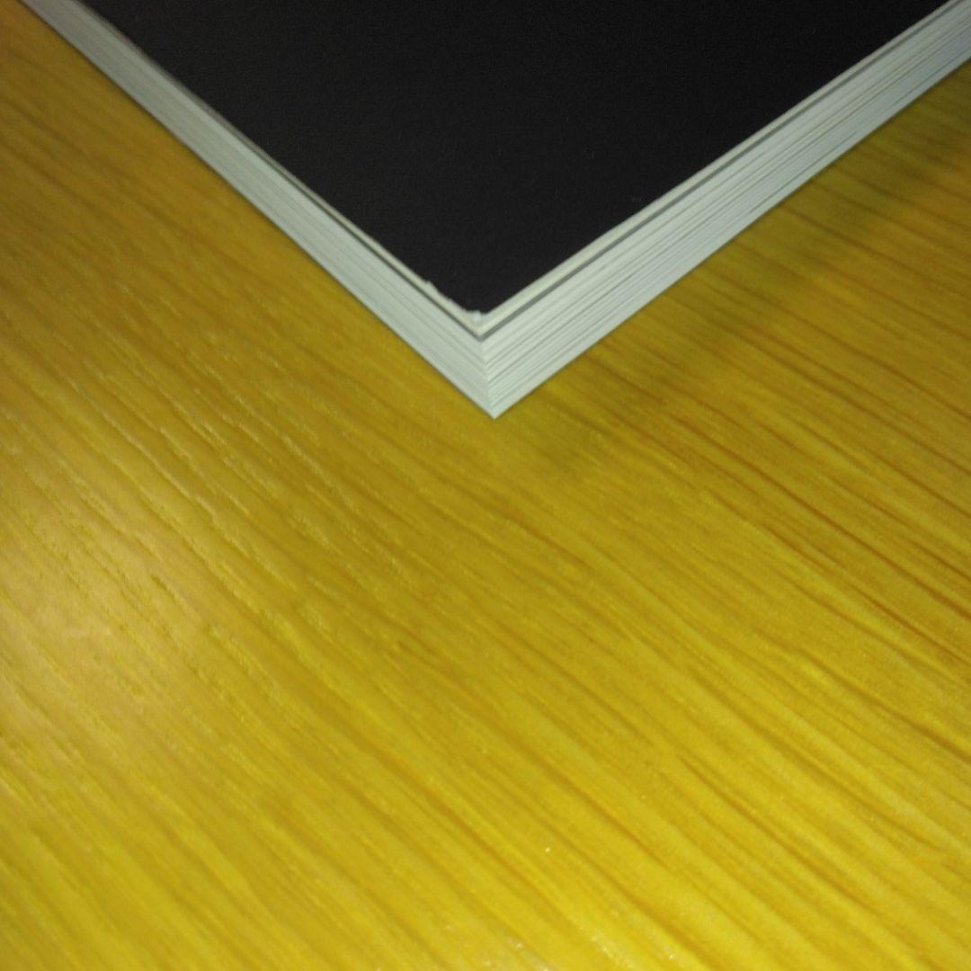 SAKANA ENSEMBLE 2007-2009 : サカナクション