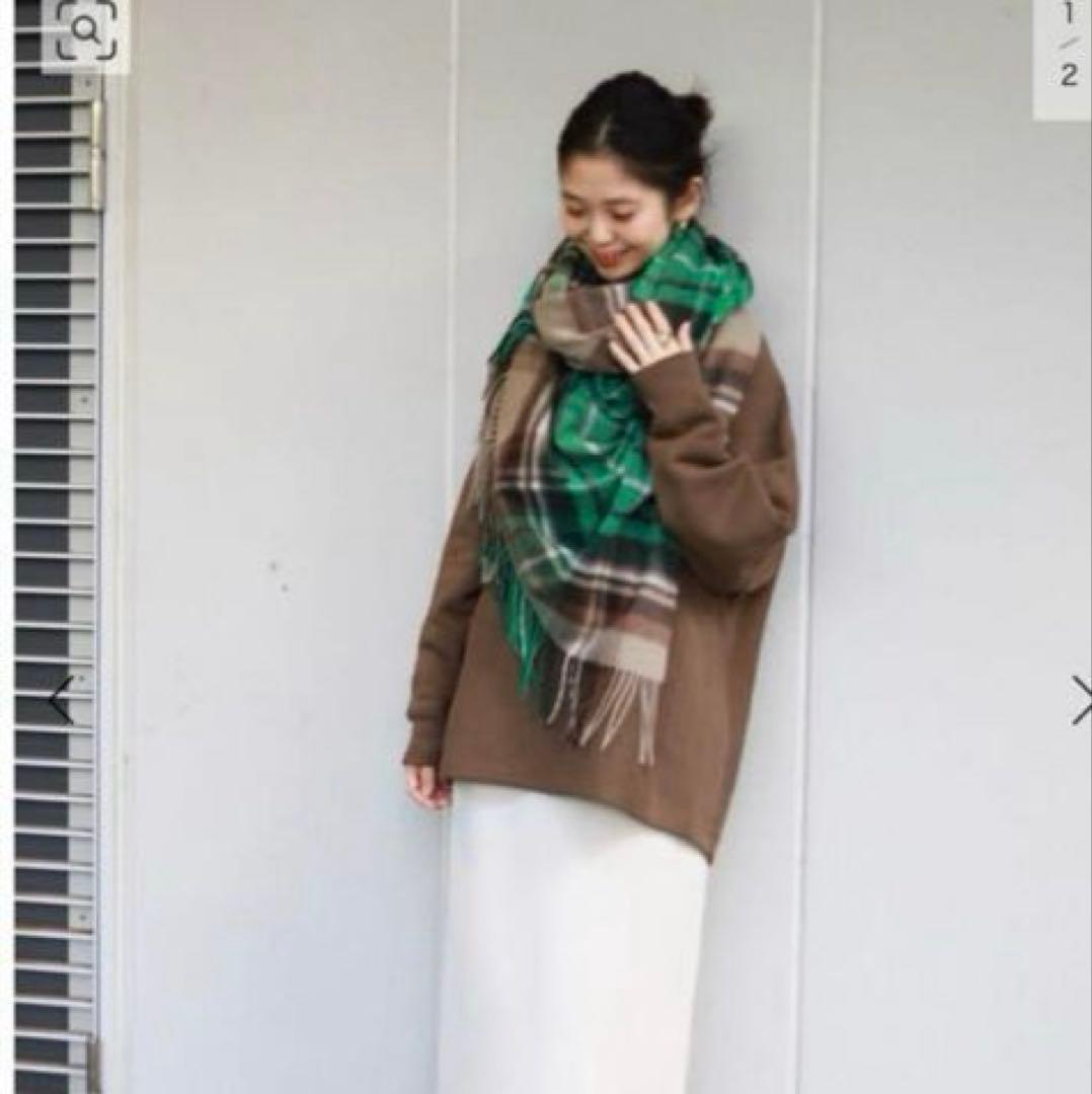 スロープイエナ　チャンピオン　　スウェット