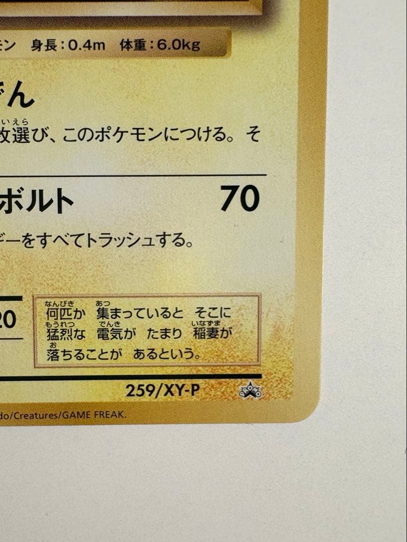 ピカチュウ　259/XY-P 第一パン ポケモンパン
