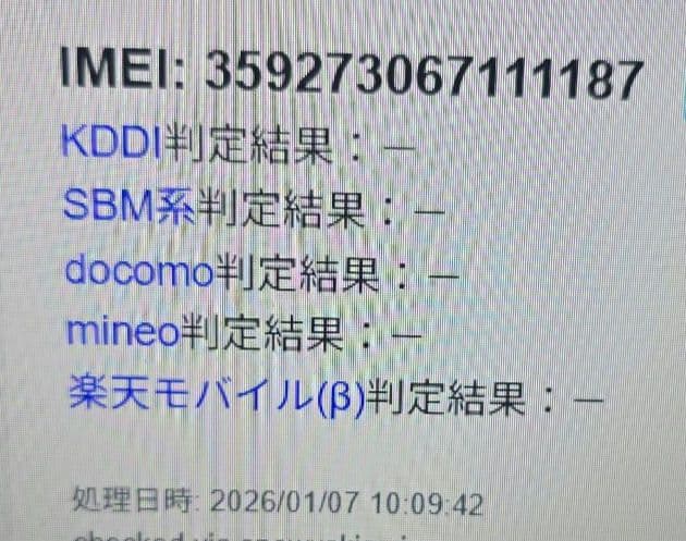 h*@様 ジャンク◼️iPad mini 4◼️128GB◼️セルラー版◼️56