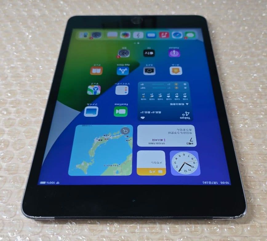 h*@様 ジャンク◼️iPad mini 4◼️128GB◼️セルラー版◼️56
