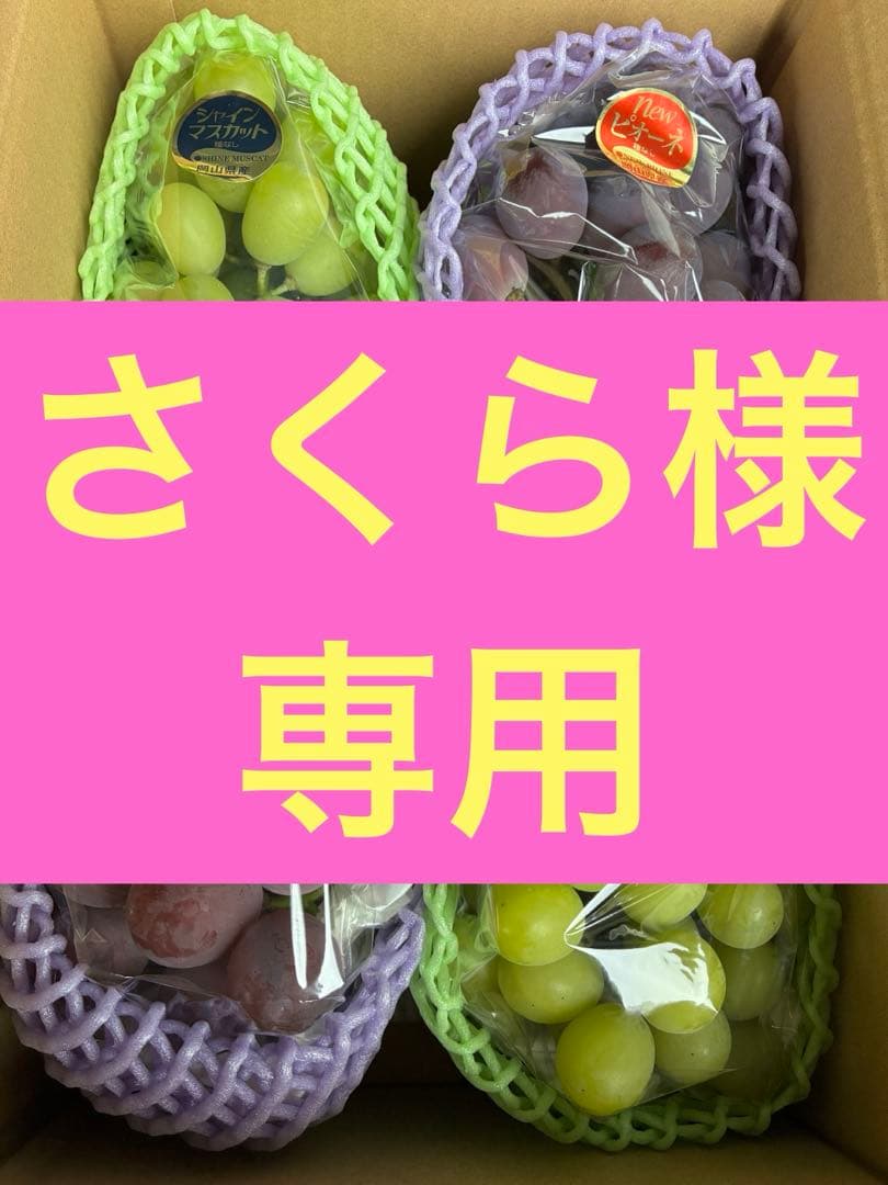 さくら様⭐︎シャイン×ピオーネ合計4kg