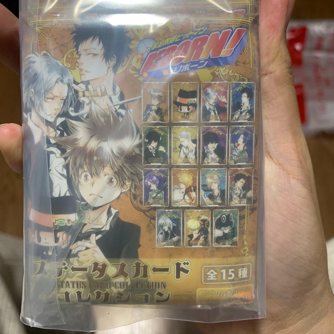 家庭教師ヒットマン REBORN ステータスカード 新品未開封品 15点セット