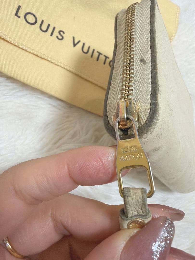 LOUIS VUITTON アンプラント　ケース