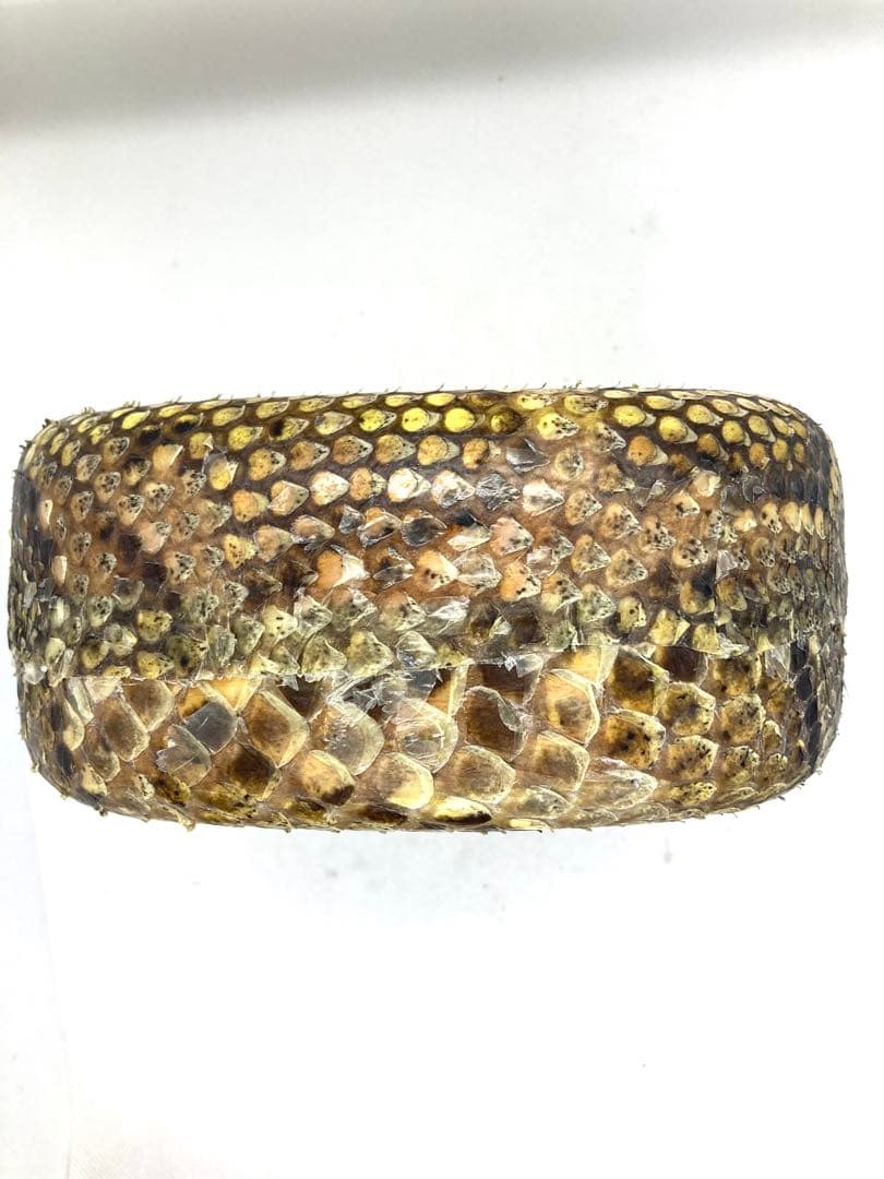 沖縄 三線 胴のみ 中古 蛇皮 チーガ ティーガ