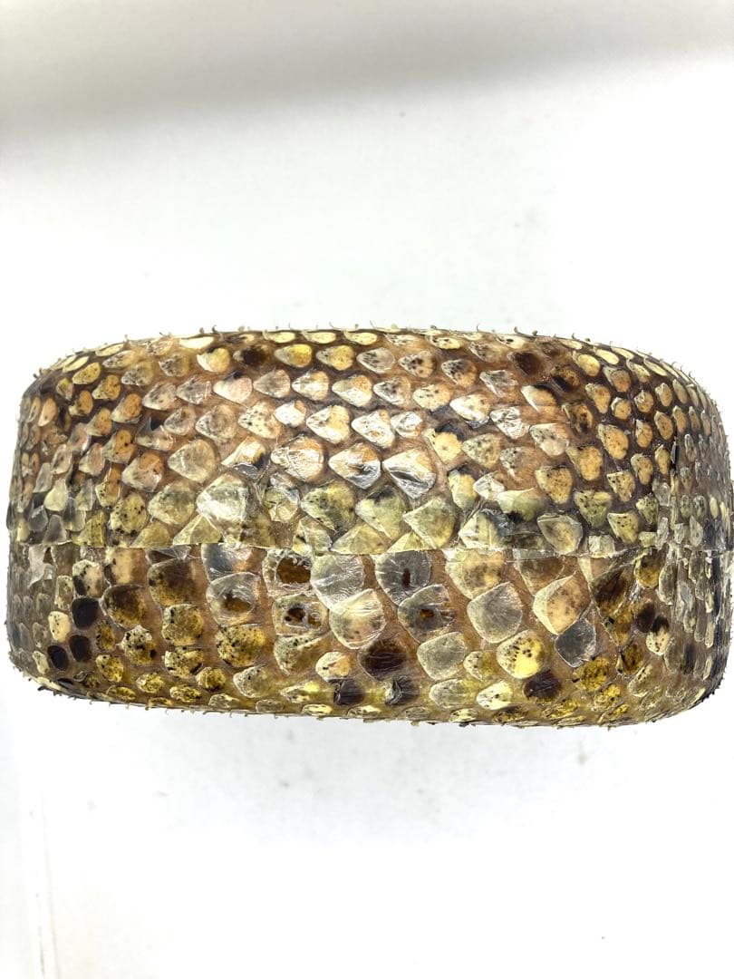 沖縄 三線 胴のみ 中古 蛇皮 チーガ ティーガ