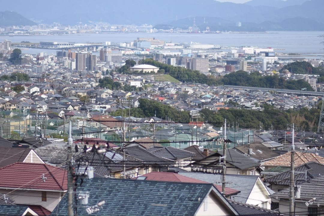 綺麗 Nikon AF NIKKOR 85mm F1.4D