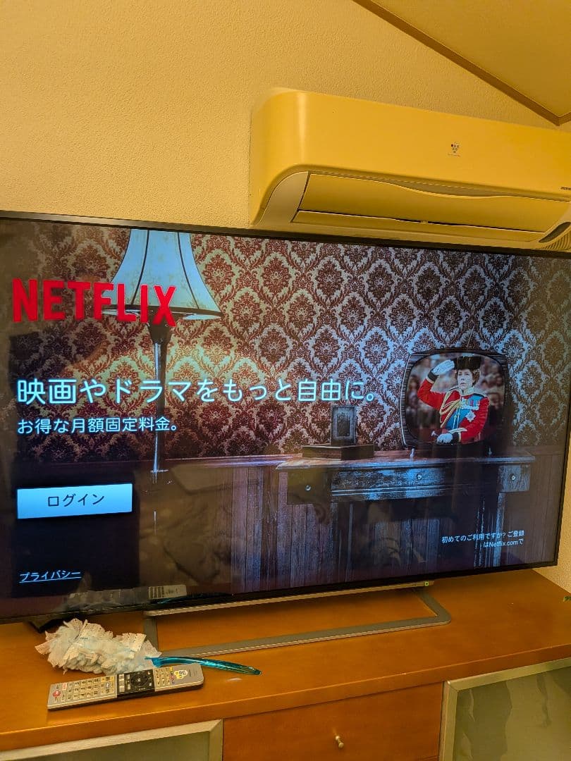 TOSHIBA REGZA 55G20X 55V型＆1tbHD＆fireTV付き