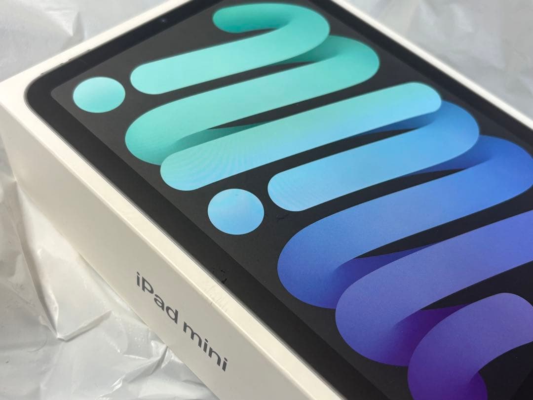 N*o様 iPad mini (第6世代) 64GB Wi-Fi + Cellu