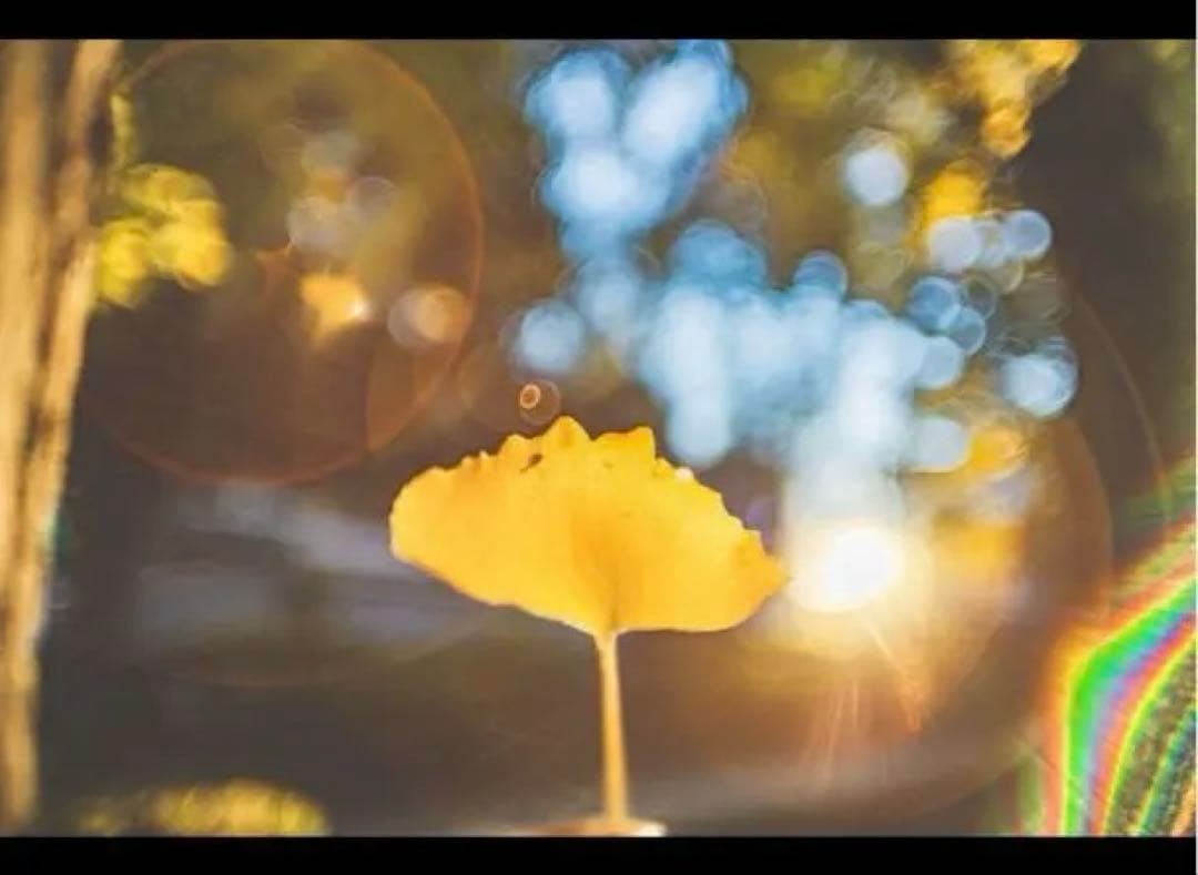 美品 Kiron 28mm F2 オールドレンズ