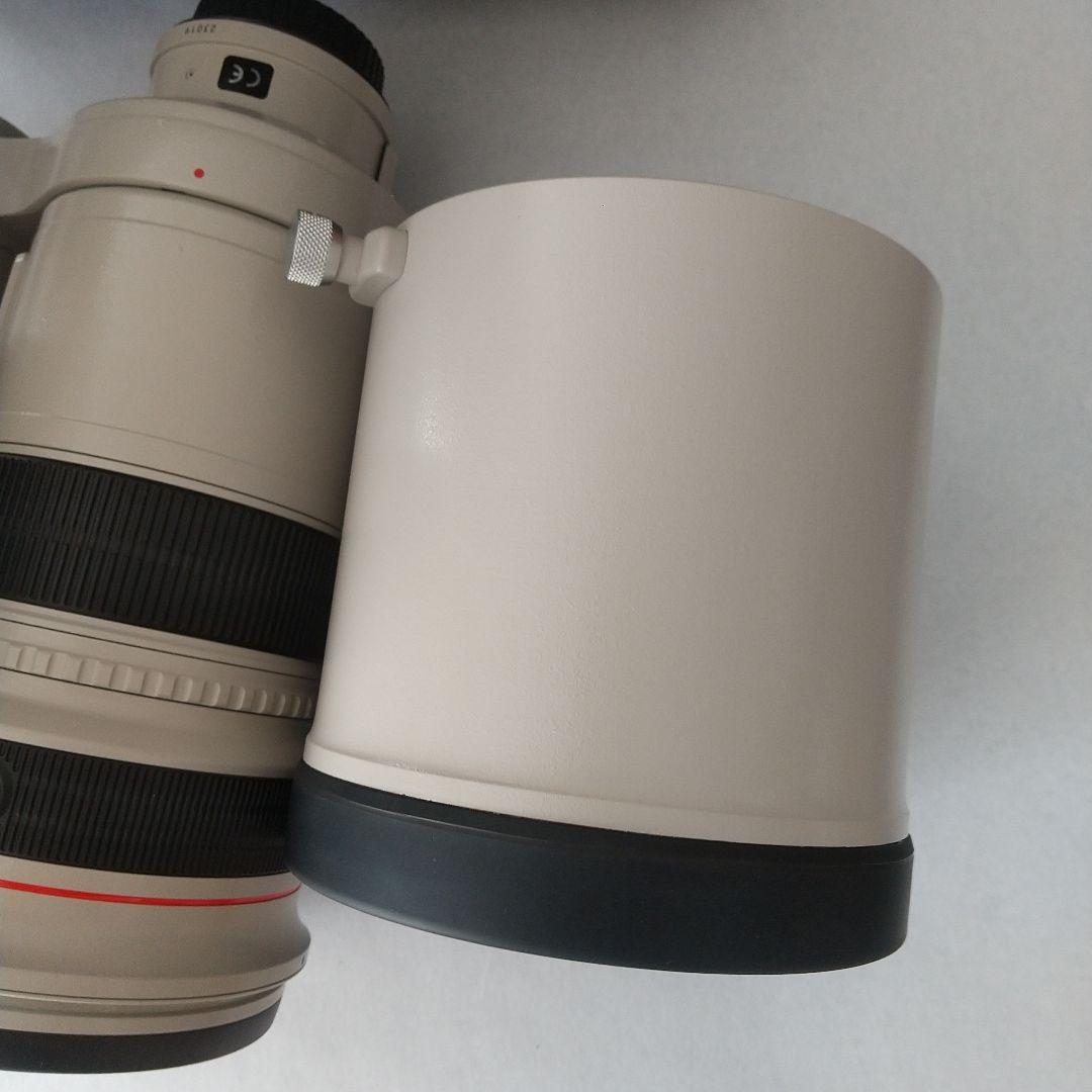 Canon EF 300mm f/2.8L IS USM レンズ