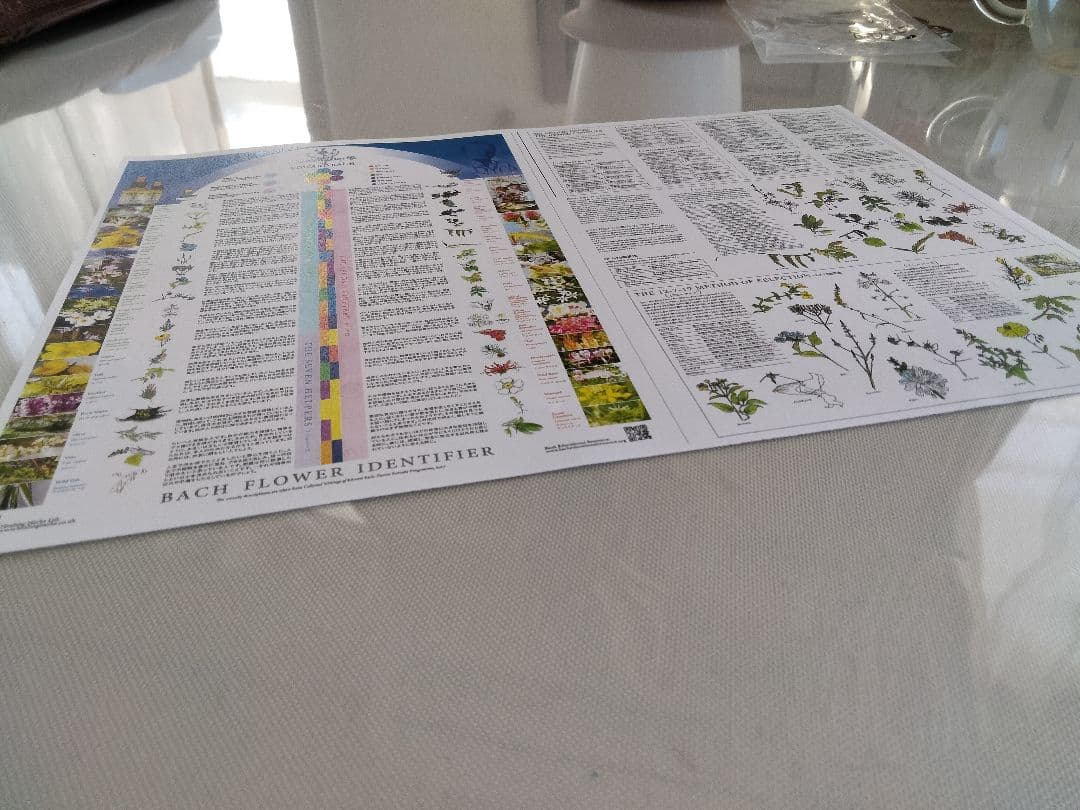 オマケ付き03/2035ヒーリングハーブス社フルセット■バッチフラワーレメディー