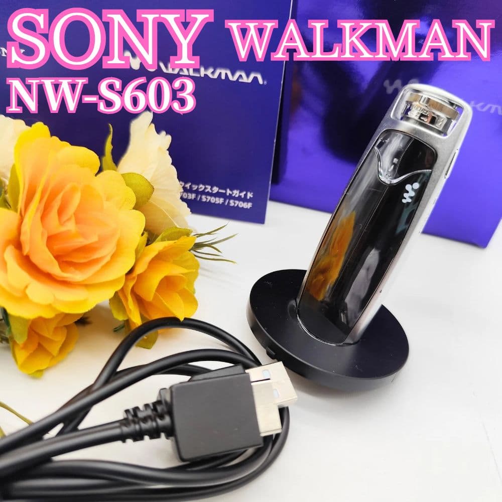 SONY WALKMAN ウォークマン NW-S603 1GB