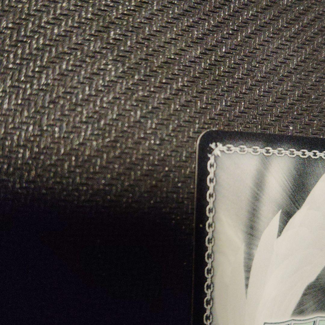 さらなる高みへ めぐみん SP サイン ヴァイスシュヴァルツ このすば 1枚