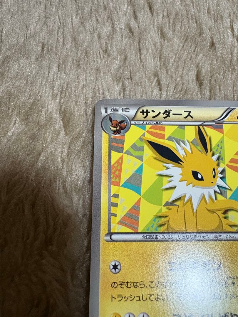 ポケモンカード　サンダース　イーブイコレクション　186/BW-P