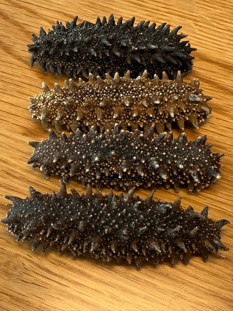 北海道産乾燥海鼠ナマコ B品 訳あり品　混合サイズ(大〜小) 合計500g