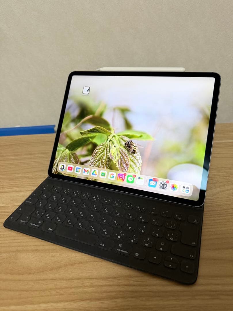 iPad Pro 12.9 512GB Wi-Fi + Cellular モデル