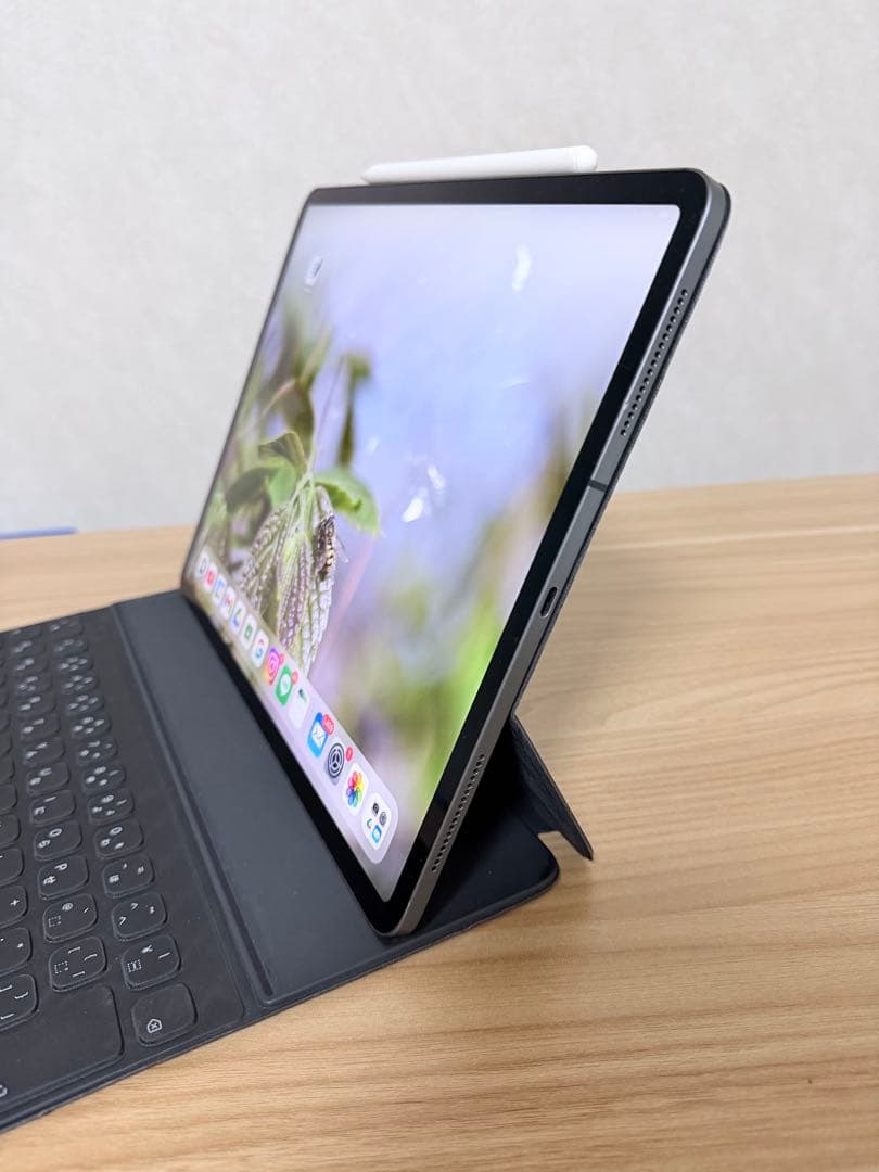 iPad Pro 12.9 512GB Wi-Fi + Cellular モデル