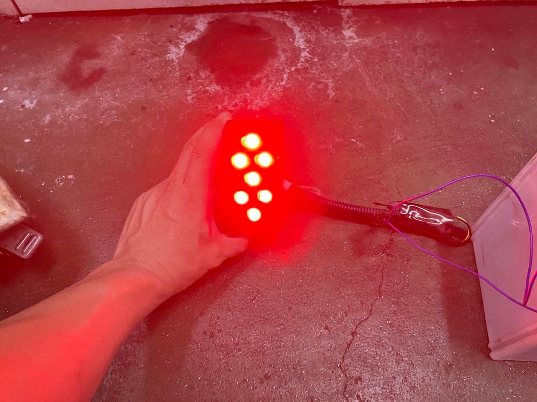 オーラNISMO リヤフォグランプ LED