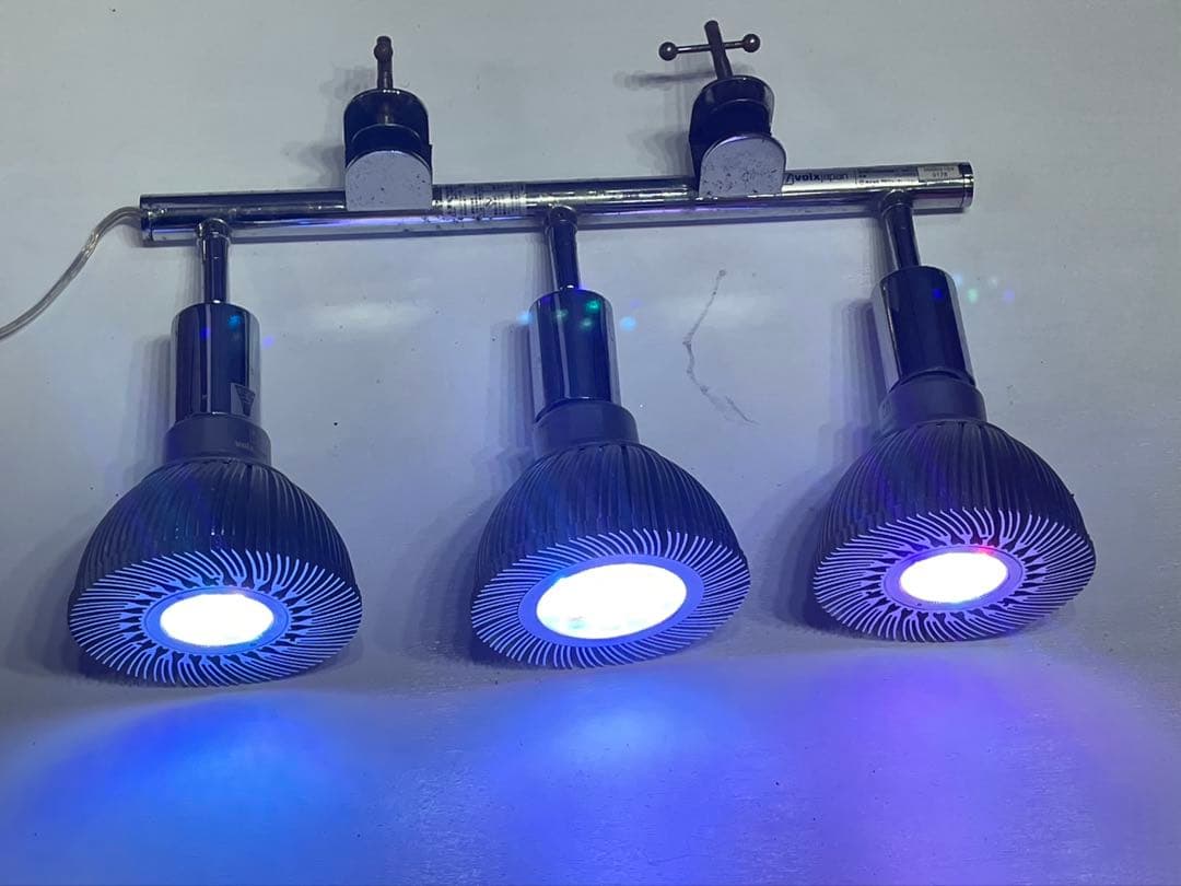 水槽用 ライト アーム クランプセット ボルククスジャパン カミハタ