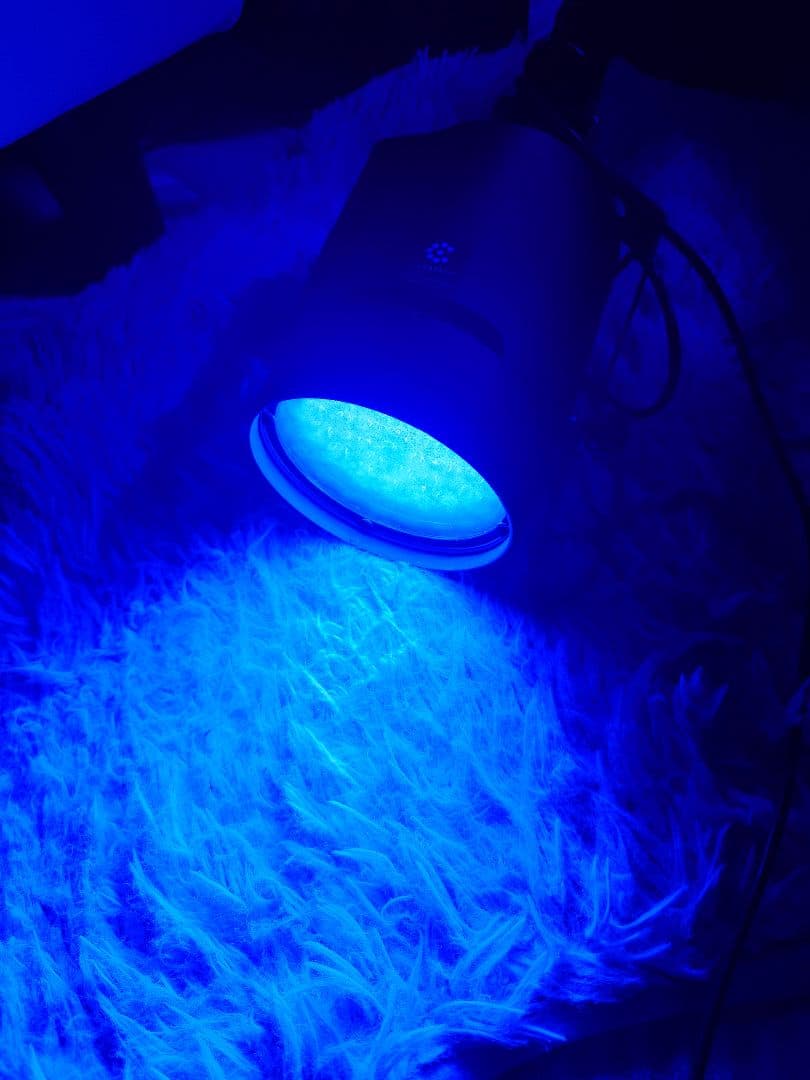 ②京セラ LED CERAPHIC ディープブルー サンゴ