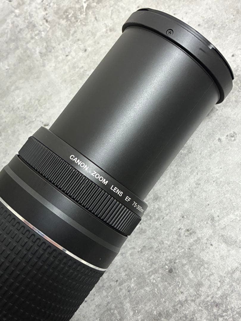 ⭐️美品⭐️Canon EF 75-300 III & EF-EOS R アダプター