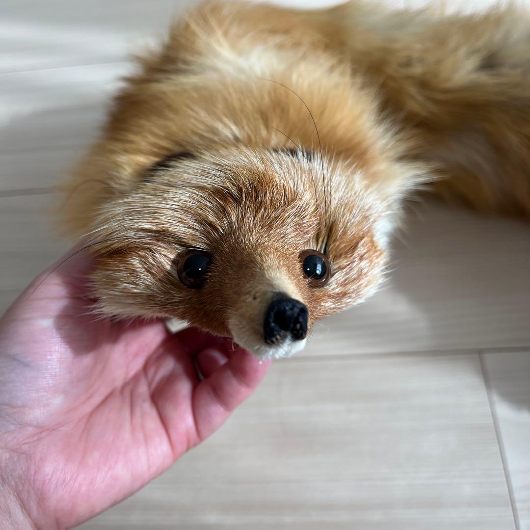 北キツネ　北きつね　北狐　ファー　毛皮　フォックスファー　新品未使用