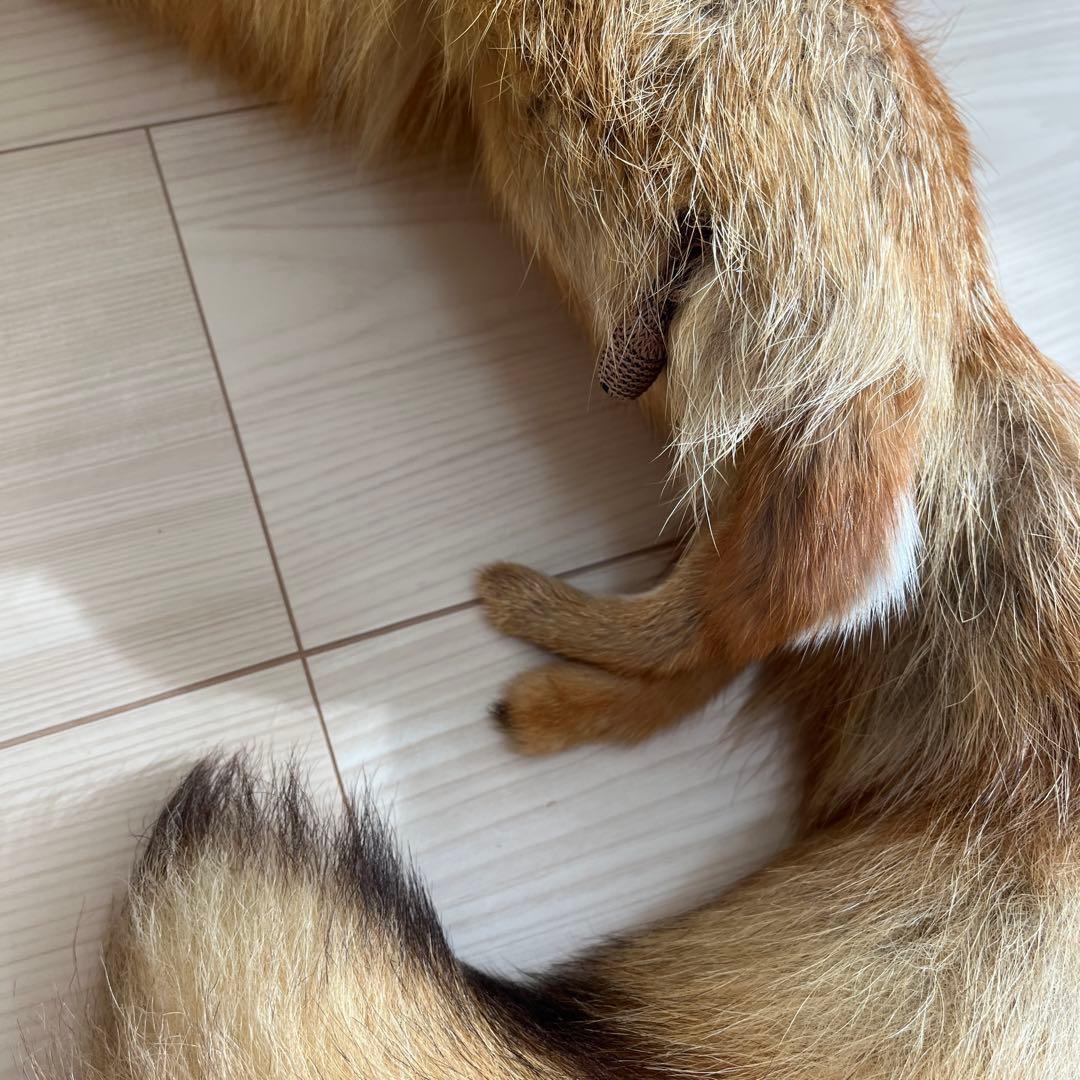 北キツネ　北きつね　北狐　ファー　毛皮　フォックスファー　新品未使用