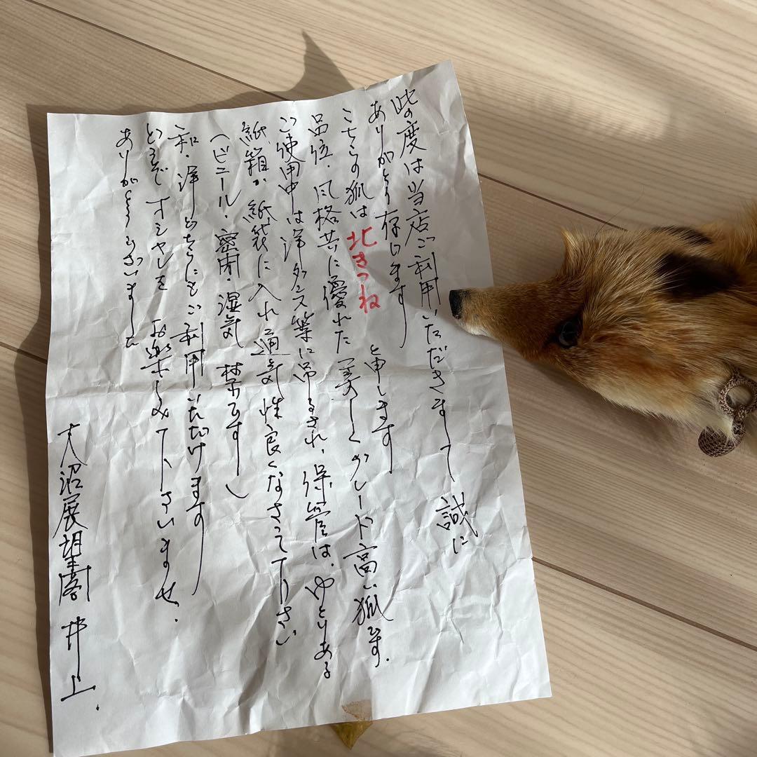 北キツネ　北きつね　北狐　ファー　毛皮　フォックスファー　新品未使用