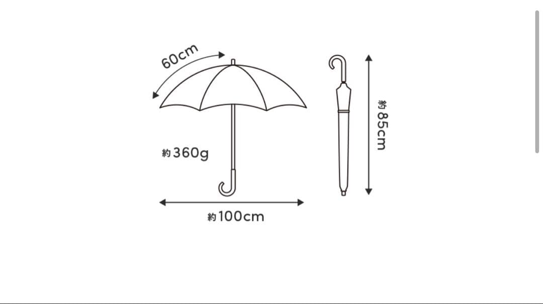 サンバリア100 日傘 完全遮遮光 Lサイズ フロスト 長傘 神崎恵