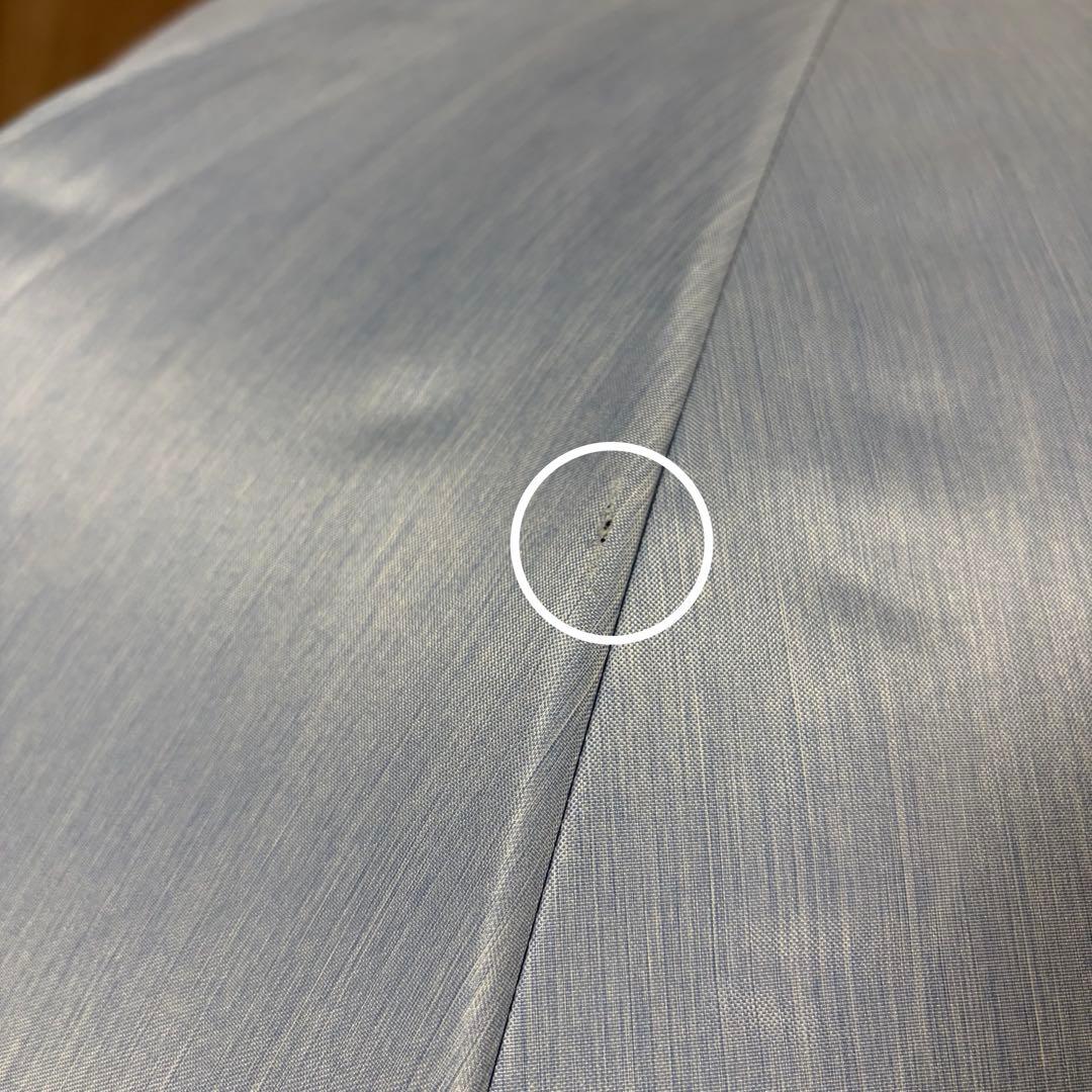 サンバリア100 日傘 完全遮遮光 Lサイズ フロスト 長傘 神崎恵