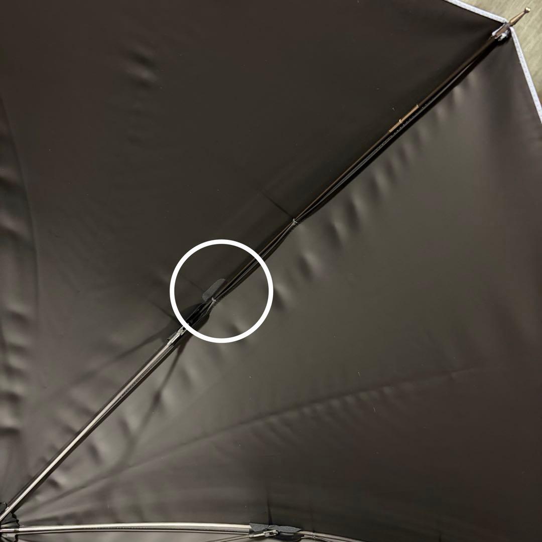 サンバリア100 日傘 完全遮遮光 Lサイズ フロスト 長傘 神崎恵