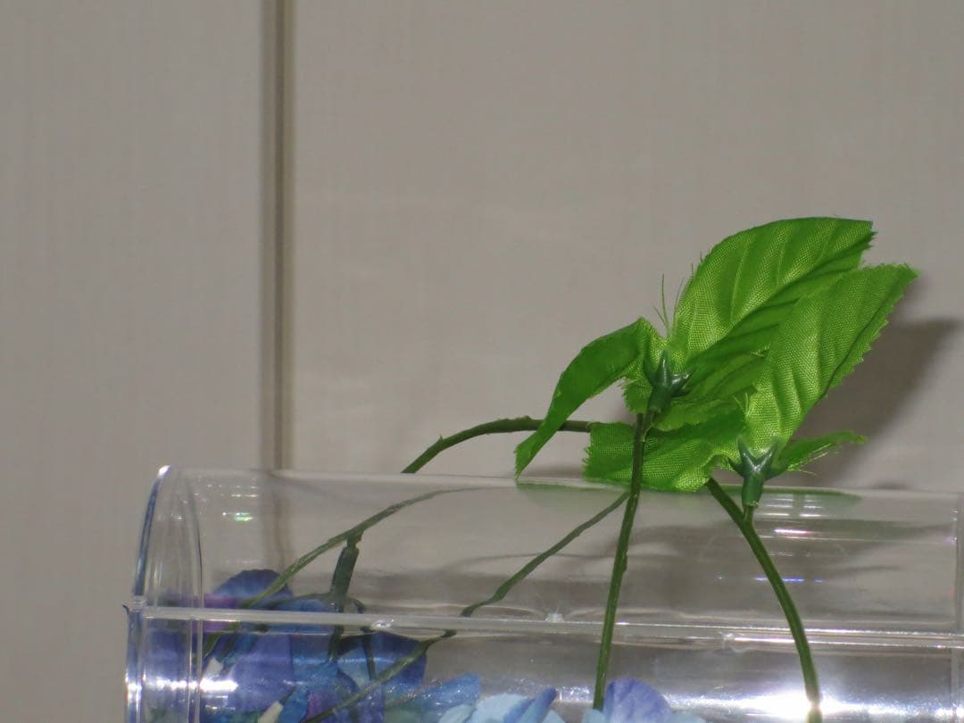 Canon カメラ　IXY 620F PC2013 パープル コンデジ　動作品