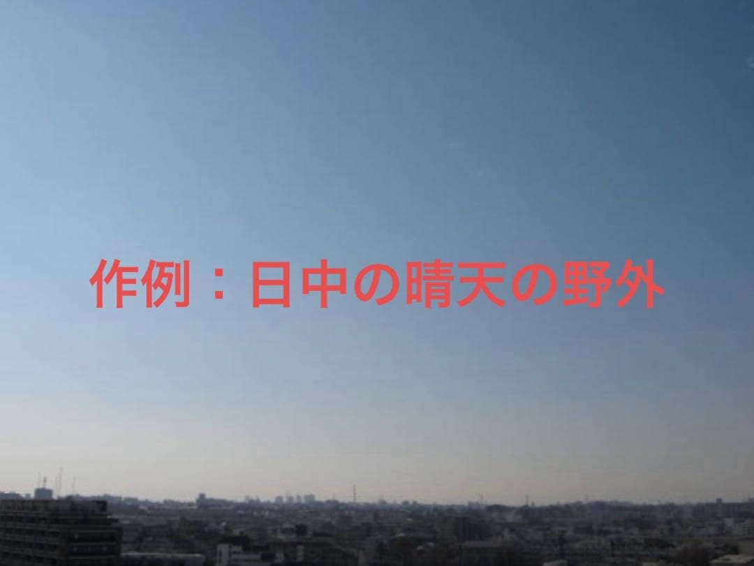 【動作確認済】Canon キャノン PowerShot A495 レトロコンデジ