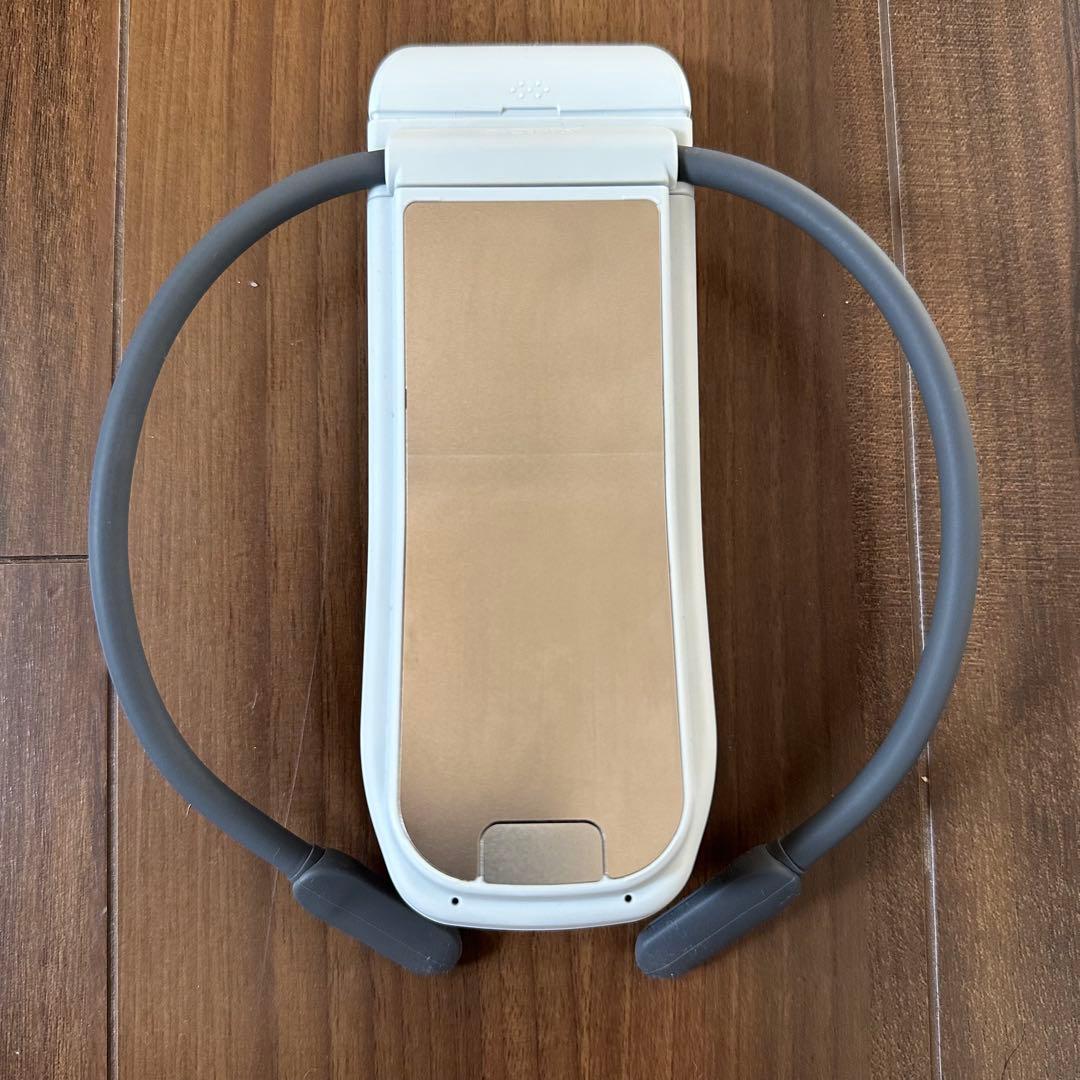 【付属品完備・美品】ソニー REON POCKET PRO