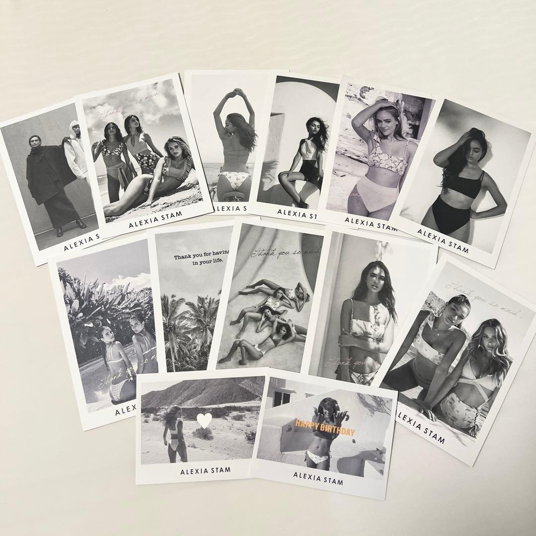 【ALEXIA STAM】トップ 水着 Driftwood Mサイズ 新品