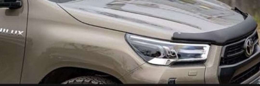 EGR (イージーアール) バグガード ハイラックス GUN125 後期