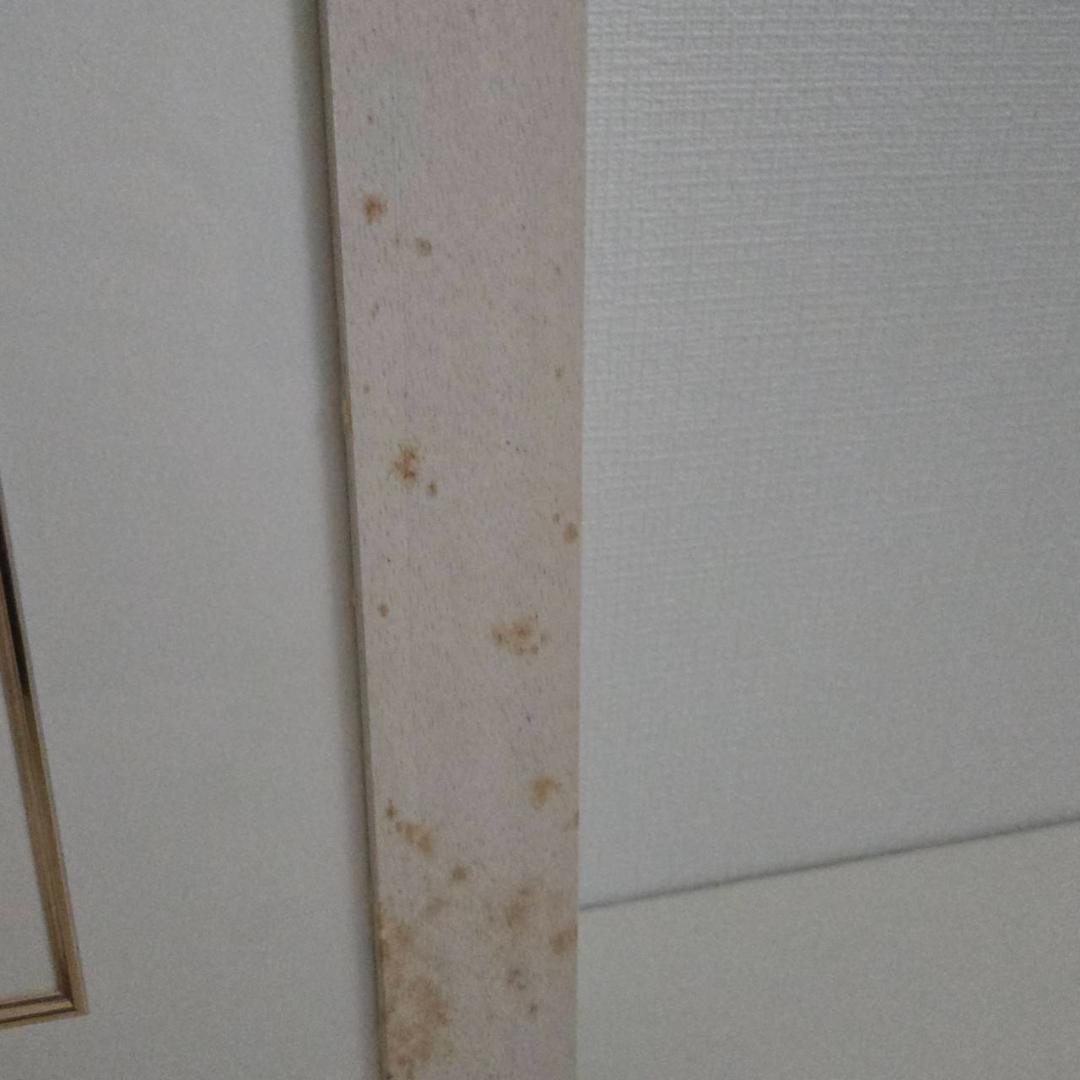 最終値下げ　藤城清治　馬が飛ぶ　ダイヤモンドクスリーン　直筆サイン　保証