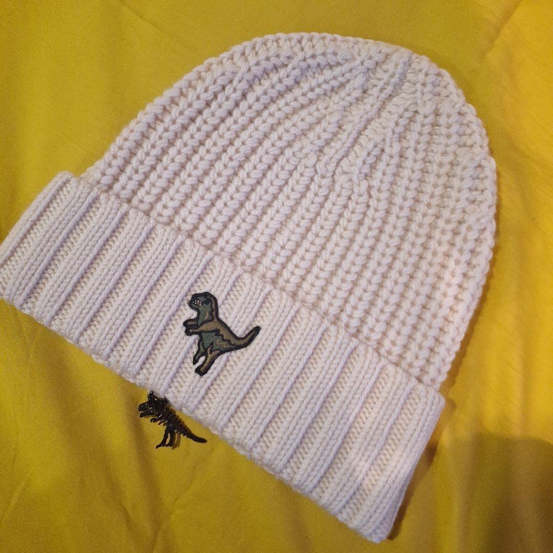恐竜刺繍付きホワイトニット帽