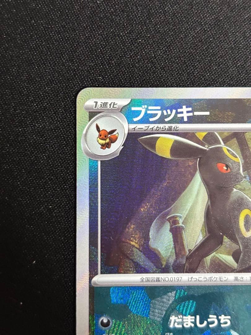 ブラッキー SV8a テラスタルフェスex マスターボールミラー