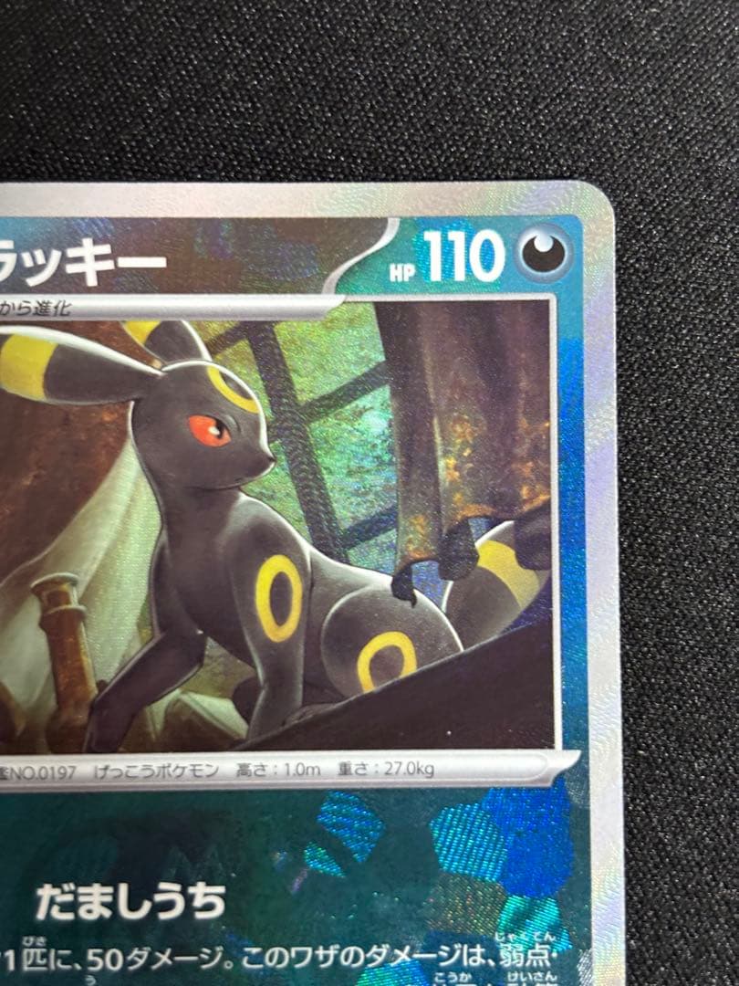 ブラッキー SV8a テラスタルフェスex マスターボールミラー