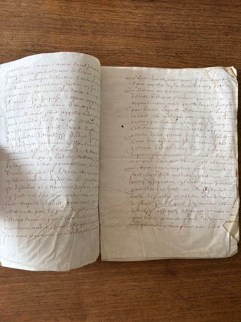 【アンティーク】羊皮紙 全12ページ綴1656年フランス 古文書