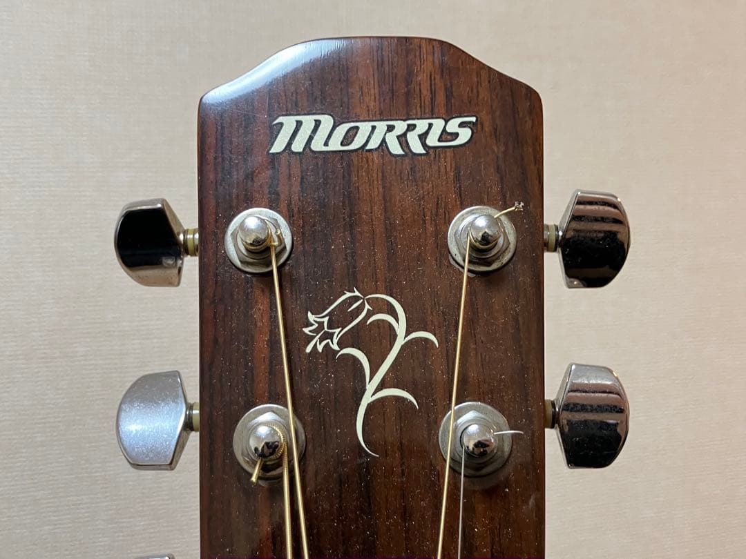 ギターMorris