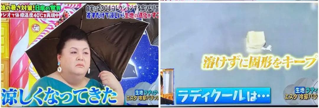 【完売・再販無し品】 -0& ゼロアンド ラディクール使用55cm 日傘