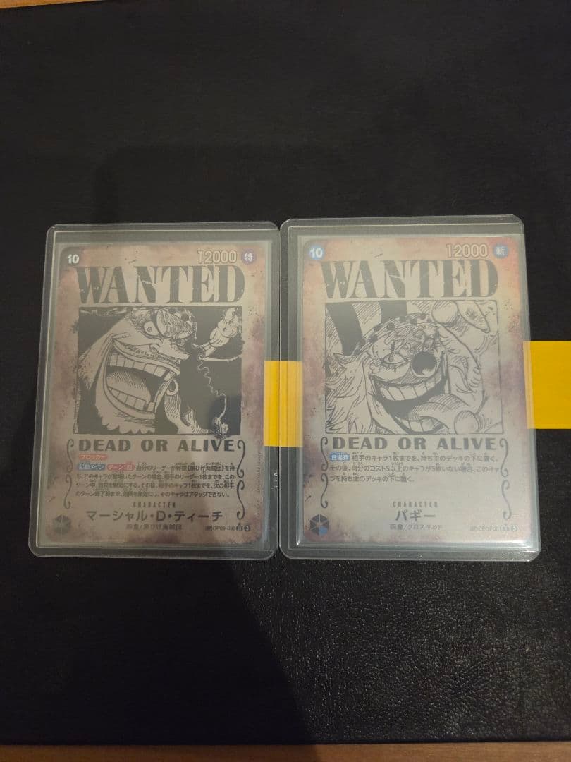 ティーチ　バギー　手配書　SP